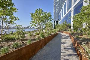 Halletts Point - Esplanade - 30 HLP View North - July 2025