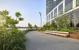 Halletts Point Esplanade North at Sunset