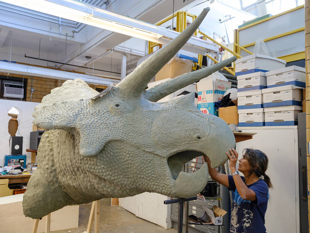 Installation for Impact: The End of the Age of Dinosaurs