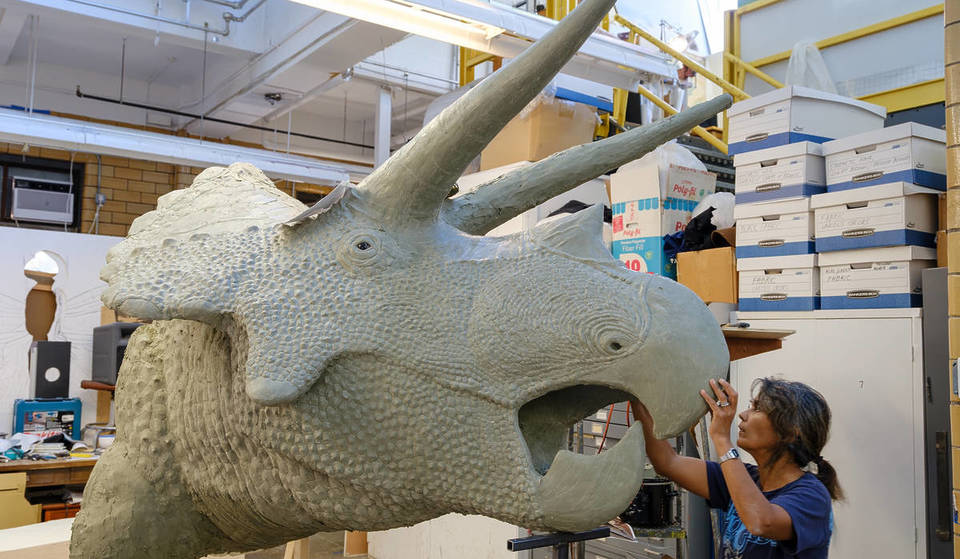 Voyage à travers les extinctions : L&rsquo;exposition « Impact » de l&rsquo;AMNH explore la collision d&rsquo;astéroïdes qui a changé le monde à jamais.