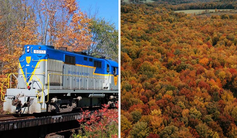 El tren panorámico del norte del estado de Nueva York vuelve después de 5 años y es perfecto para disfrutar del follaje otoñal en las Catskills.