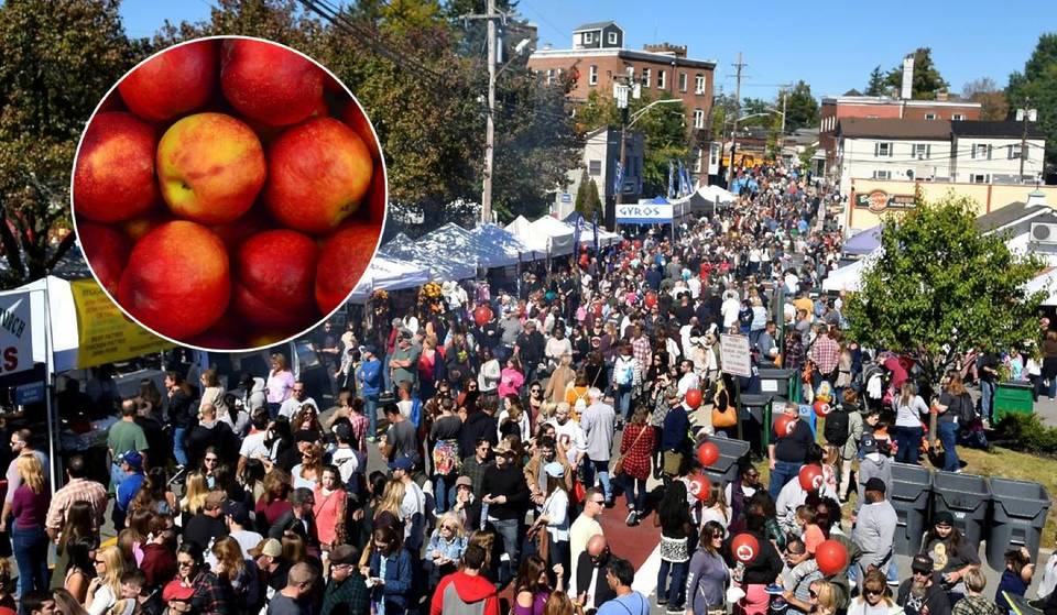 Il più grande e gratuito festival delle mele di New York torna a ottobre con gare di preparazione e consumo di torte di mele, musica dal vivo e altro ancora