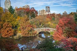 Central Park in NYC in the fall