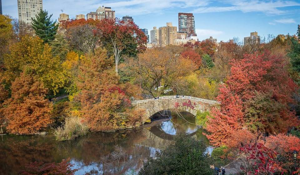 56 Best Things To Do In NYC This Fall: Shows, Halloween Events, Festivals, Openings, & More