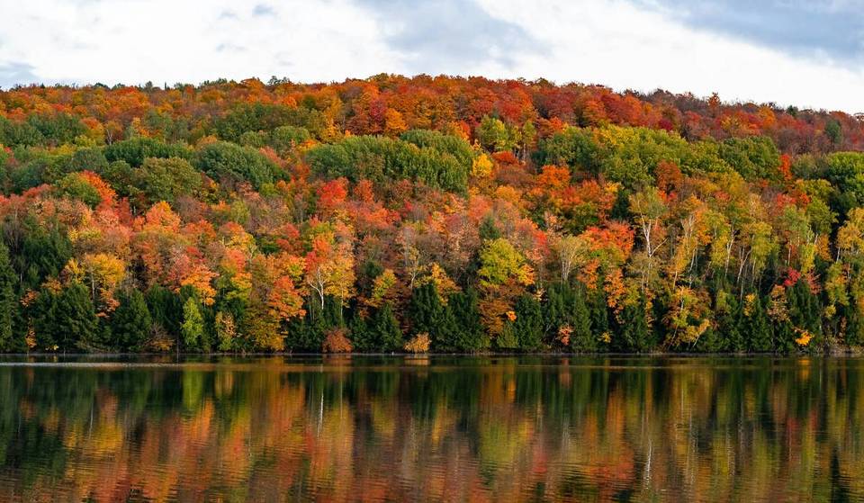 America’s No. 1 Fall Destination Is This Upstate NY Region–Known For Apple Orchards, Historic River Towns, & Cozy Inns