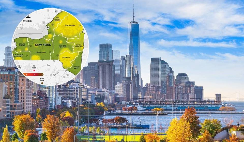Deze interactieve herfstkaart van New York laat zien waar regio&#8217;s een kleurverandering zien &#8211; en waar de beste kleuren zullen zijn