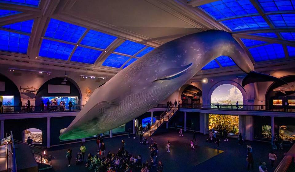 Depois de 5 anos, os Sleepovers estão finalmente de volta ao Museu de História Natural de Nova York &#8211; o primeiro será em outubro