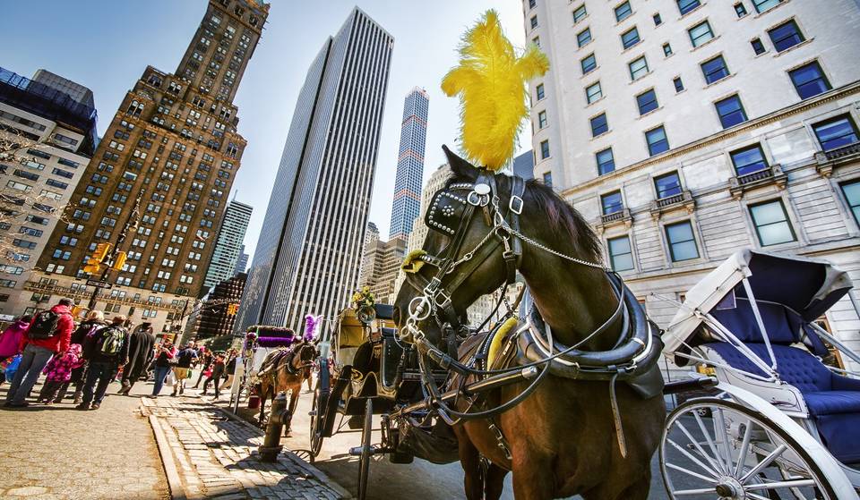 Les infâmes calèches de Central Park vivent leurs derniers jours – Le maire Adams demande l&rsquo;interdiction au conseil municipal