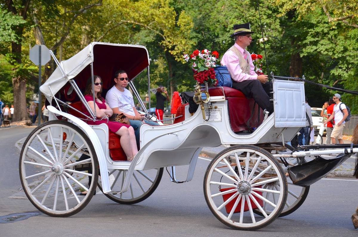 Tourists in a horse drawn carriage in Central Park