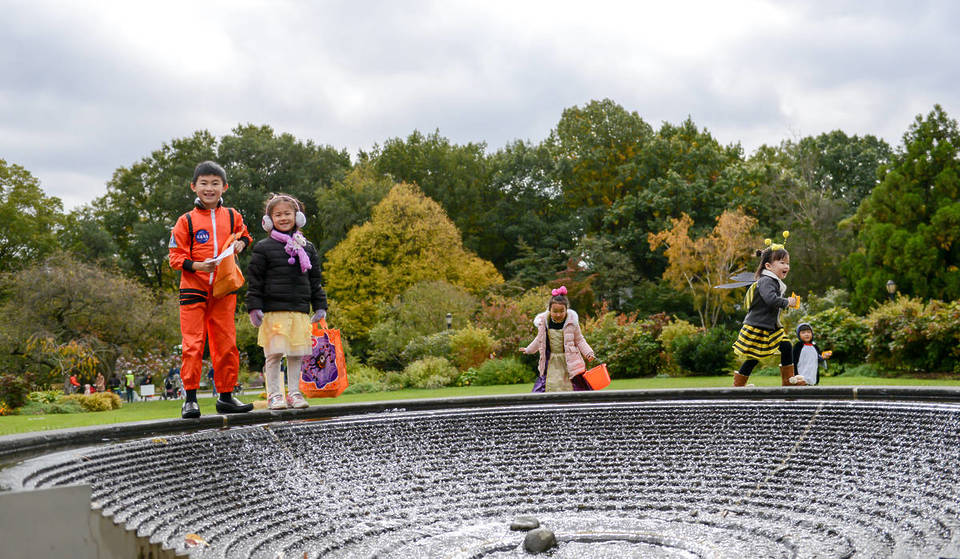Le jardin botanique du Queens accueille un événement spécial pour Halloween ce dimanche seulement