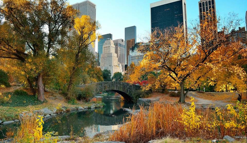 Here’s When Fall Foliage Will Peak In NYC This Year