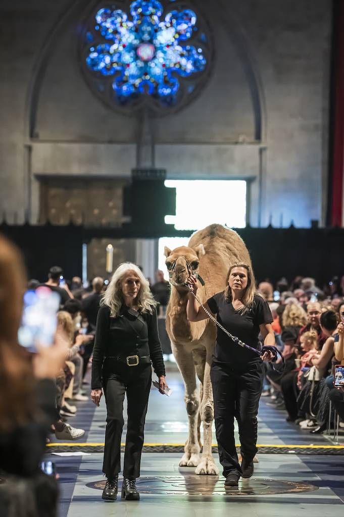 Blessing of the Animals at St. John the Divine