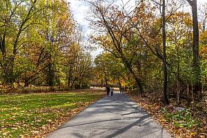 Fair Lawn, New Jersey - November 4, 2024: Saddle River Park, Katelyn park, and Saddle River Park in New Jersey. Scenic fall landscape.