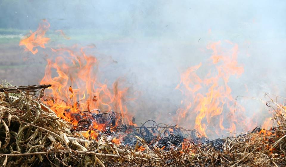 New York verhängt 14-tägiges landesweites Verbrennungsverbot &#8211; Trockene Bedingungen erhöhen die Gefahr von Waldbränden