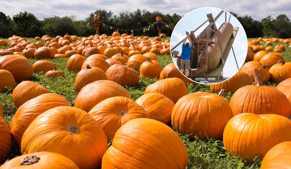 L&rsquo;un des meilleurs champs de citrouilles d&rsquo;Amérique se trouve à seulement 2 heures de NYC – et il possède un canon à citrouilles géant.