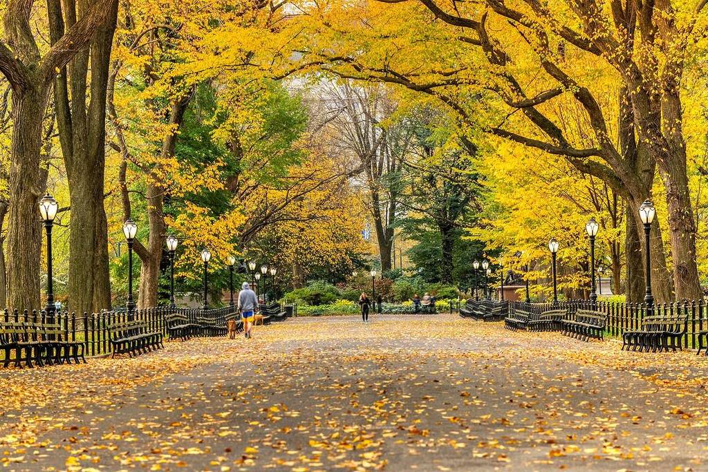 Manhattan, New York, NY, VS - 2 november 2019: Herfstuitzicht op de Mall en Literary Walk, Central Park