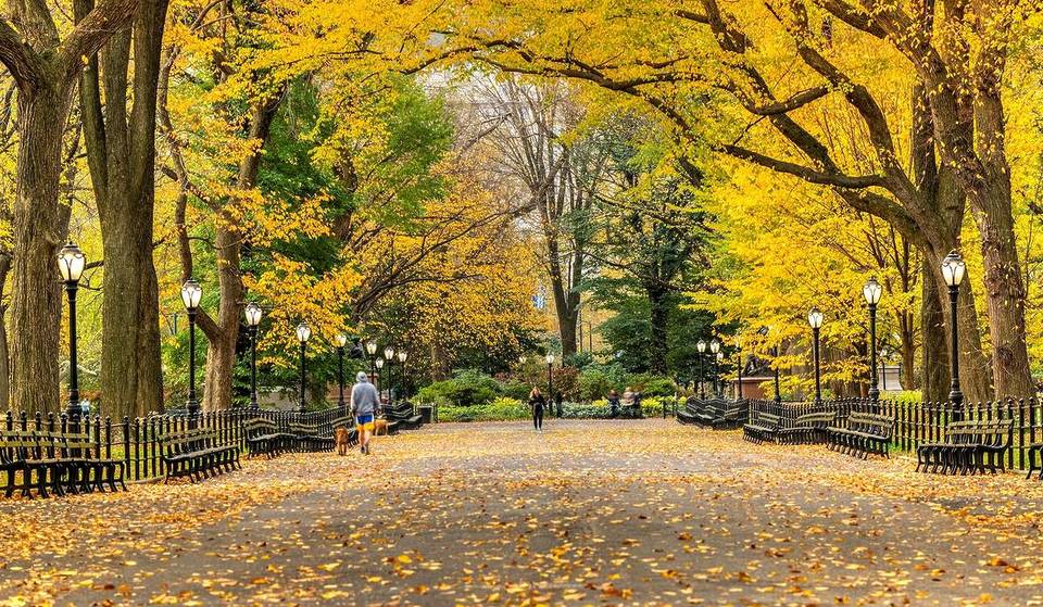 NYC’s Best November Events — Concerts, Holiday Happenings, & More