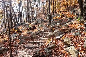 This is a color photograph of a stone hiking trail winding up through a forested autumn landscape at Ramapo Mountain Preserve in Mahwah, New Jersey on a sunny October day.