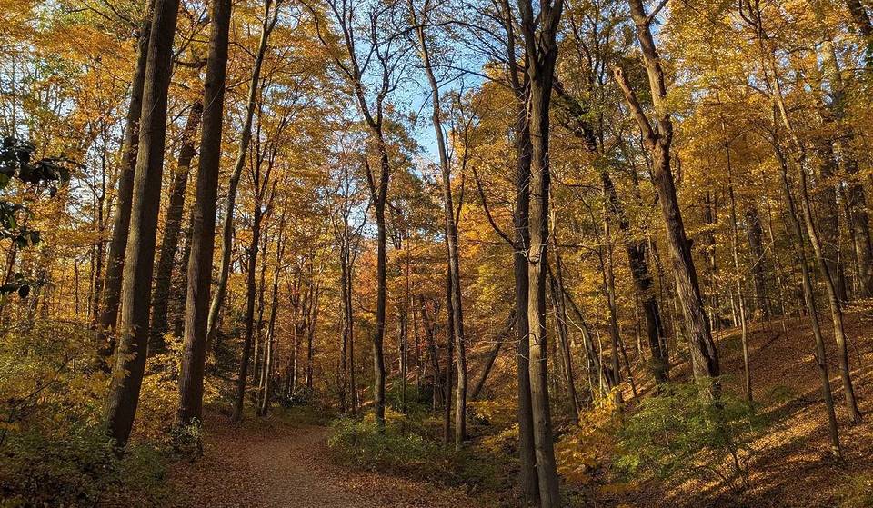 7 spectaculaire wandelingen in de buurt van NYC voor de bloeiperiode &#8211; allemaal met watervallen, vuurtorens en uitzicht op de bergrug