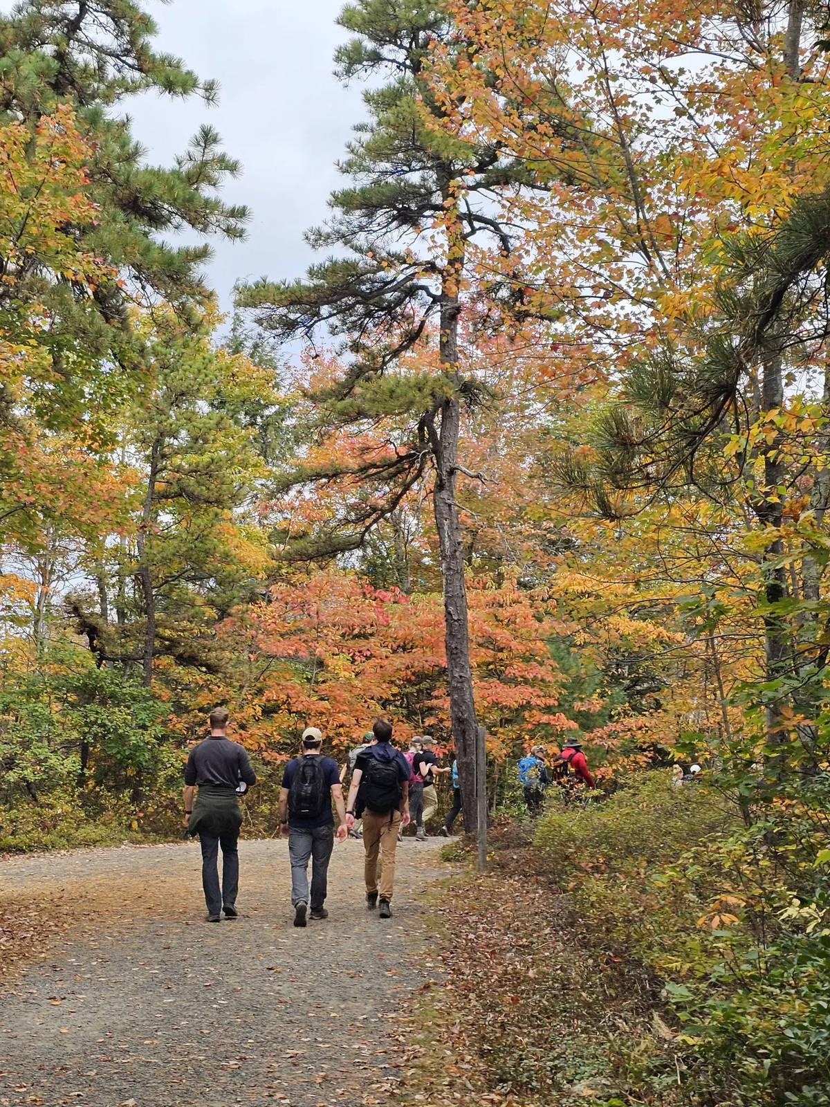 7 Spectacular Hikes Near NYC For Peak Foliage — All With Waterfalls ...