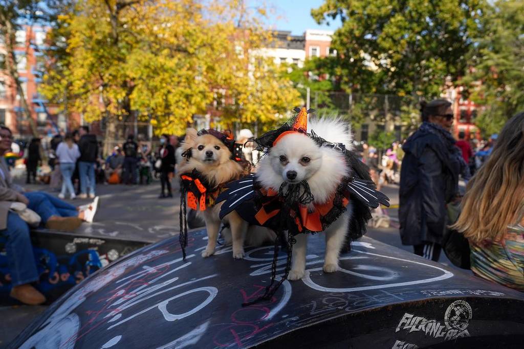 NEW YORK, NEW YORKUSA - OCTOBER 22, 2022: Atmosphere bij de 32e jaarlijkse Tompkins Square Halloween Hondenparade