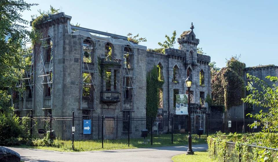 È ufficiale: New York è stato appena incoronato lo Stato più infestato d&#8217;America &#8211; ecco perché