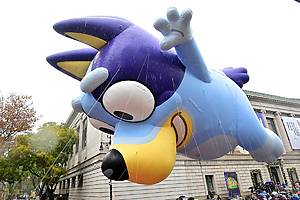 NEW YORK, NEW YORK - NOVEMBER 28: Bluey byBBC is seen during 98th Macy's Thanksgiving Day Parade on November 28, 2024 in New York City. (Photo by Eugene Gologursky/Getty Images for Macy's)