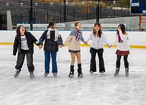 Gottesman Rink