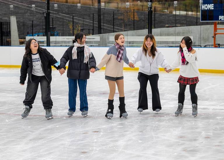 A Brand New Ice Rink Just Opened In Central Park, Bringing Skating Back ...
