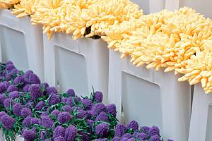 Flowers at Cj Hendry's SoHo storefront