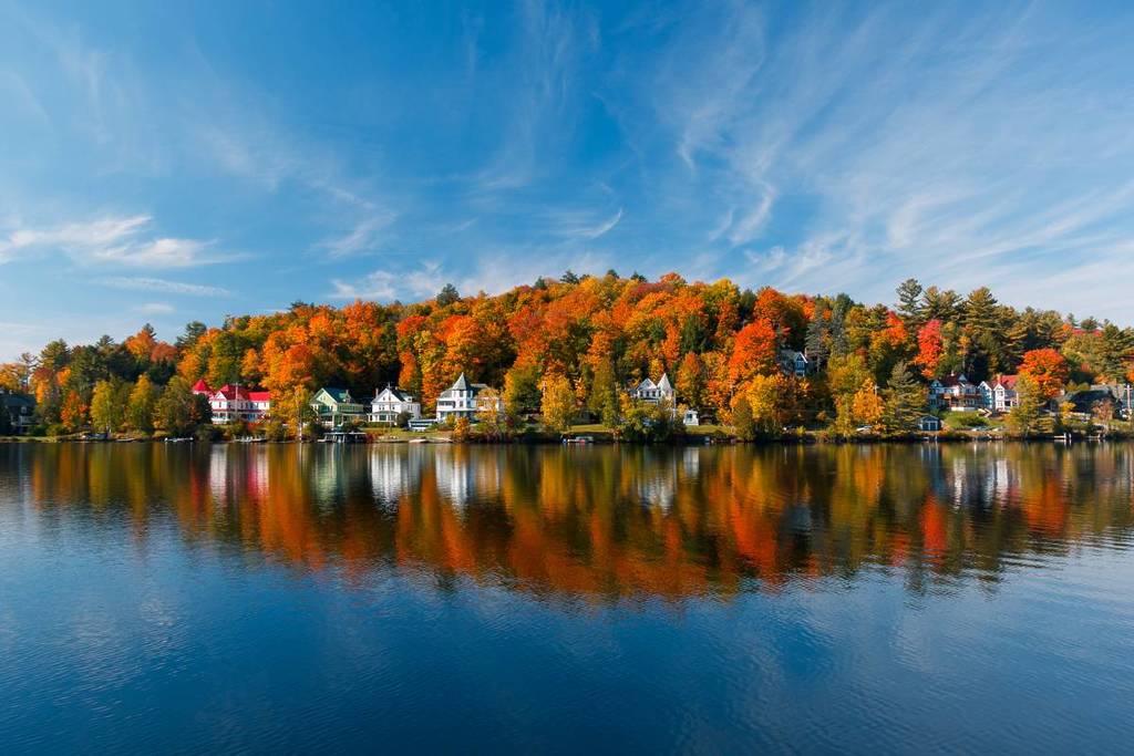 fall foliage trees next to Saranac Lake, New York, USA