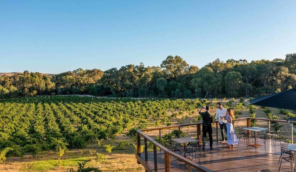 Bluestone Lane’s South Australia Wine Flights Could Send You To Adelaide For Free