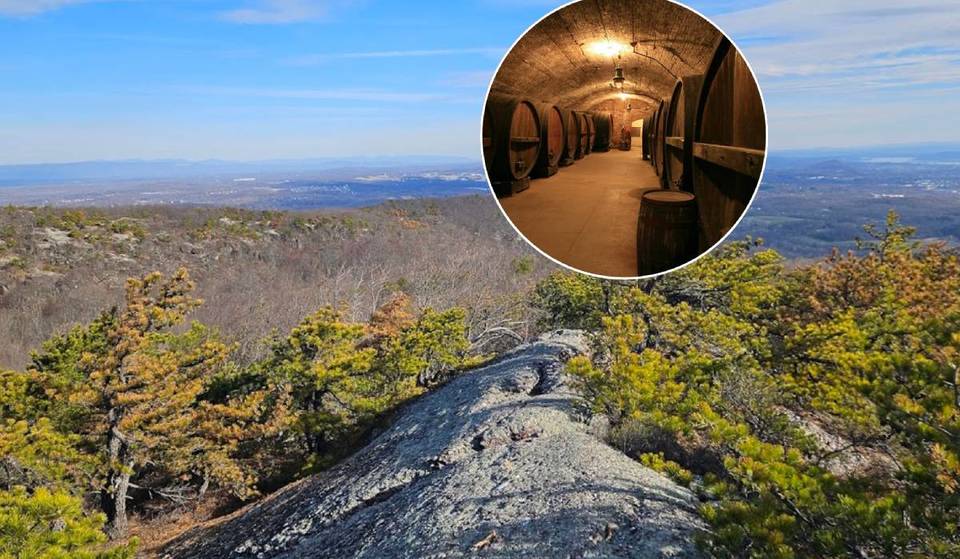 Le plus ancien vignoble d&rsquo;Amérique est niché dans cette ville cachée de New York, à quelques minutes en train de New York.