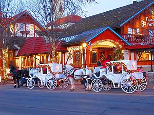 horse and carriages in Frankenmuth, Michigan