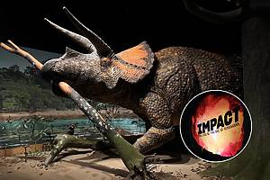 Impact: The End of the Age of Dinosaurs AMNH