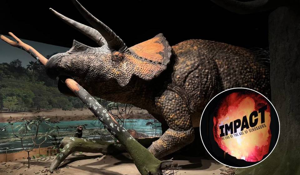 Die neueste Ausstellung des AMNH zeigt das berühmteste Artensterben der Welt &#8211; mit einem 18 Fuß großen Triceratops, einem 27 Fuß großen Mosasaurier und echten Fossilien zum Anfassen