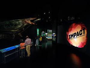 Impact: The End of the Age of Dinosaurs AMNH
