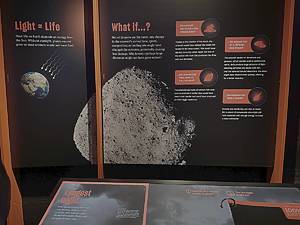 Impact: The End of the Age of Dinosaurs AMNH