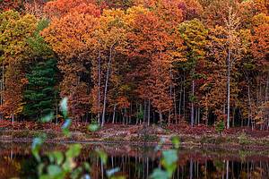 Forest Community Park in Hazleton PA in the Fall