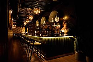 interior of Dandelion