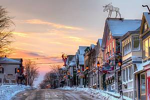 Street with houses on both sides, Maine.