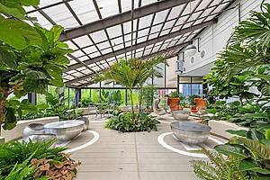 garden inside the Baisley Pond Park Residences