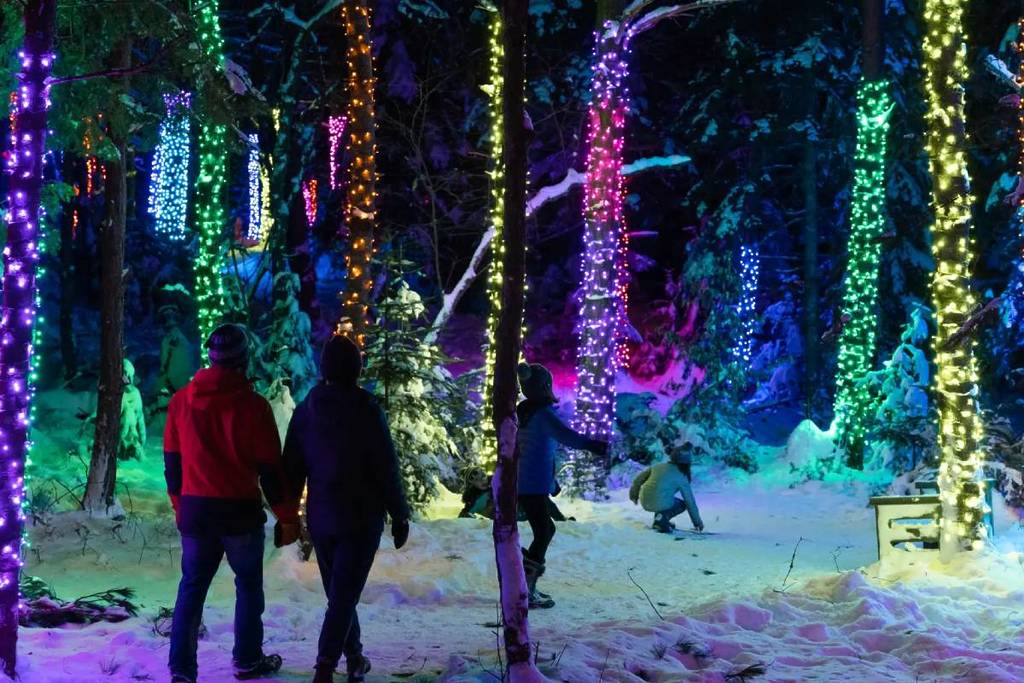 This Dazzling Natural Winter Wonderland Is A Short, Scenic Trip From NYC — With A Magical Forest Walk Lit By Thousands Of Twinkling Lights, Interactive Art And Even Real Otters 