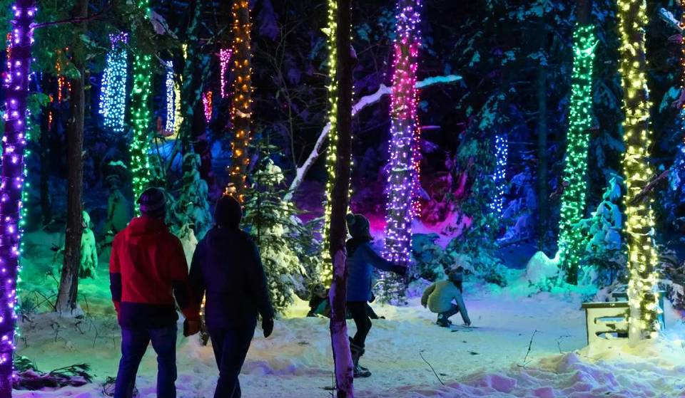 Esta deslumbrante maravilla natural de invierno es un viaje corto y panorámico desde Nueva York, con un mágico paseo por el bosque iluminado por miles de luces parpadeantes, arte interactivo e incluso nutrias reales.