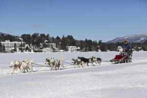 people dog sledding in lake placid