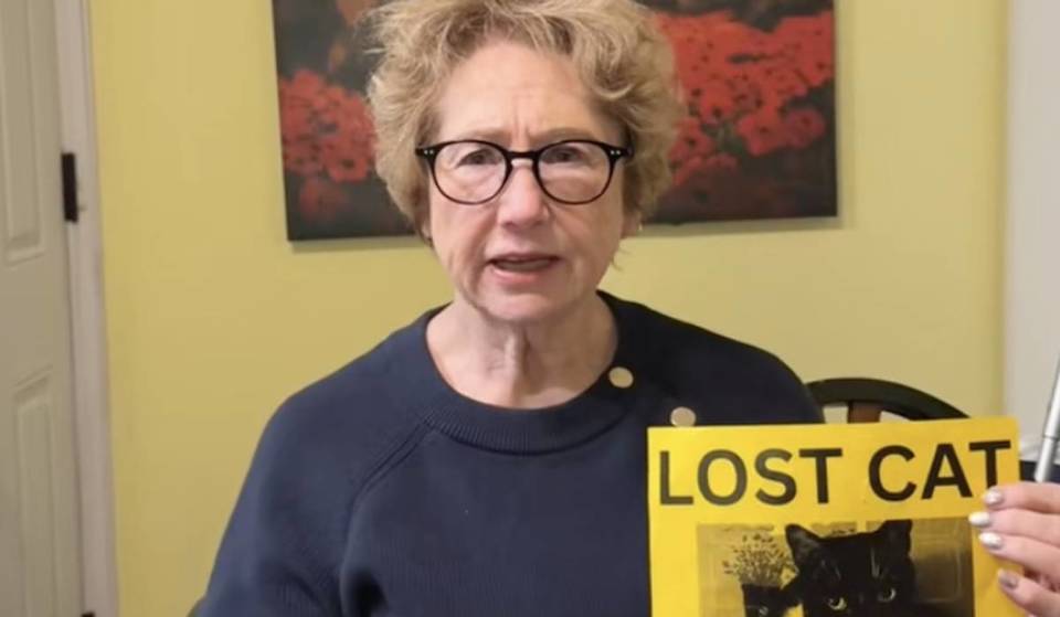 L&rsquo;équipe d&rsquo;un groupe de travail de l&rsquo;ONU sur les droits de l&rsquo;homme et les droits des femmes a été créée par un groupe de travail de l&rsquo;ONU sur les droits de l&rsquo;homme et les droits des femmes, qui s&rsquo;est réuni à Paris en novembre dernier.