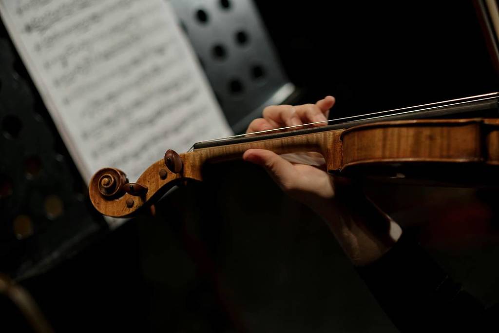 Close up of a musician holding the violin