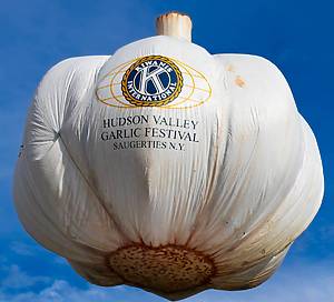Garlic Festival in Saugerties, NY