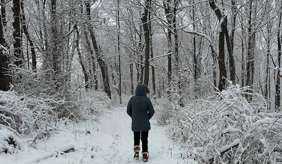 Dieser 358 Meilen lange Winterwanderweg beginnt auf einem U-Bahnsteig in NYC – und verwandelt sich in eine gefrorene Wildnis im Hinterland.