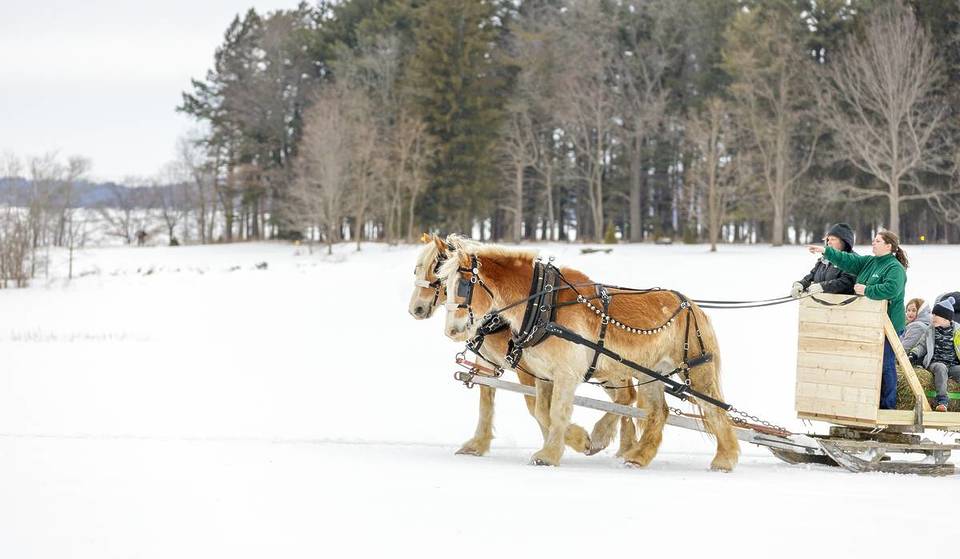 This Cozy Upstate NY Lake Town With Frozen Waterfalls & Horse Sleigh Rides Is Throwing A Huge Winter Festival This Weekend